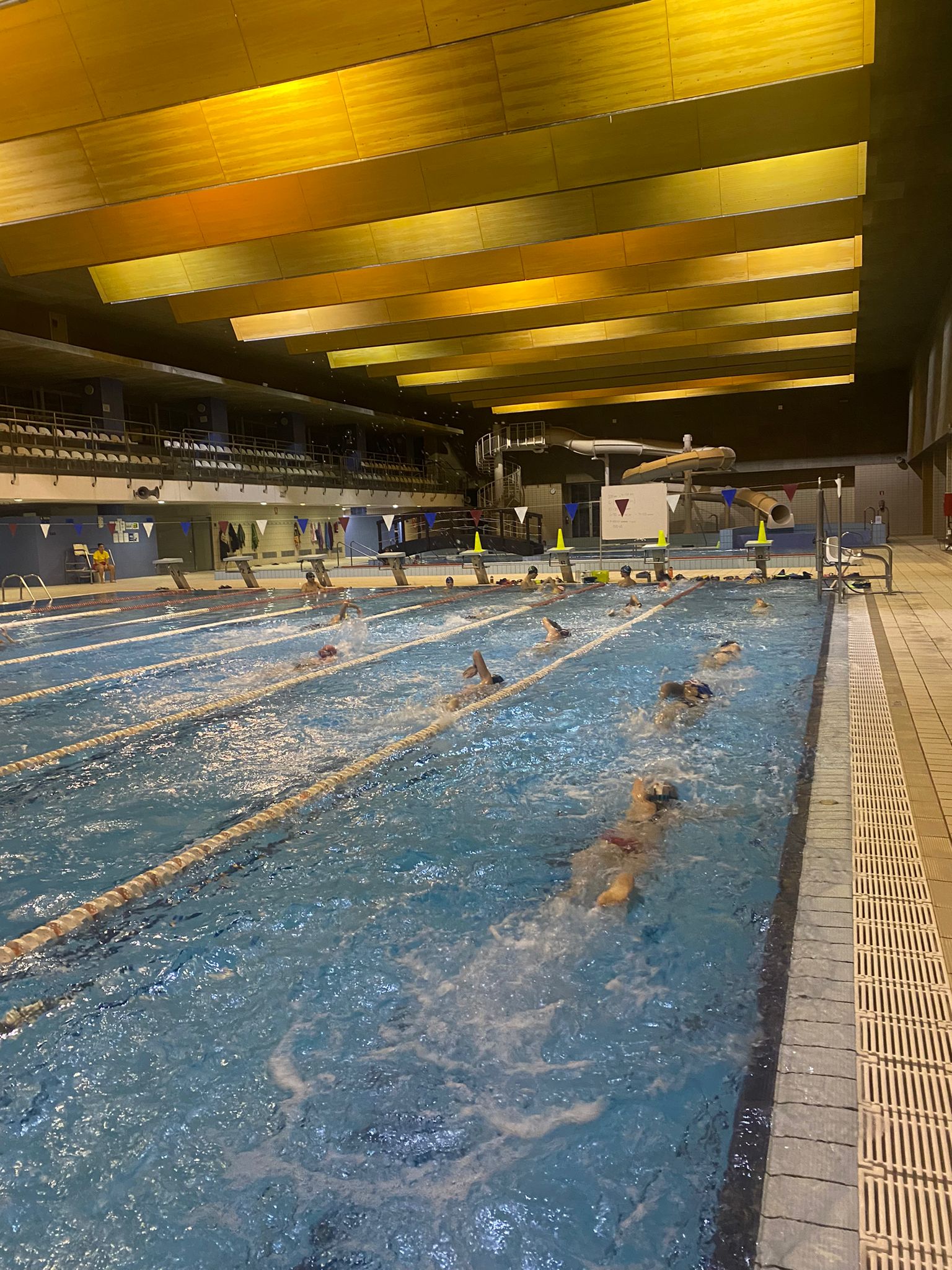 Concentración Grupo de Perfeccionamiento FNT